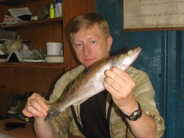 Ученый-биолог Казанского университета назвал причины исчезновения нескольких видов рыб в Татарстане